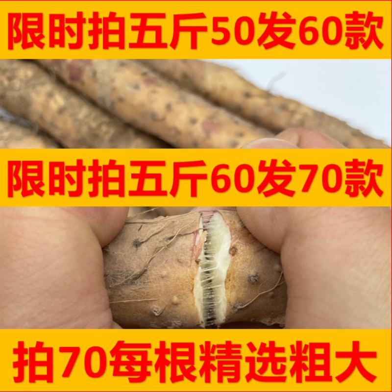 温县垆土铁棍怀山药正宗焦作红皮新鲜铁桂铁杆淮山药净重5斤特产 - 图1