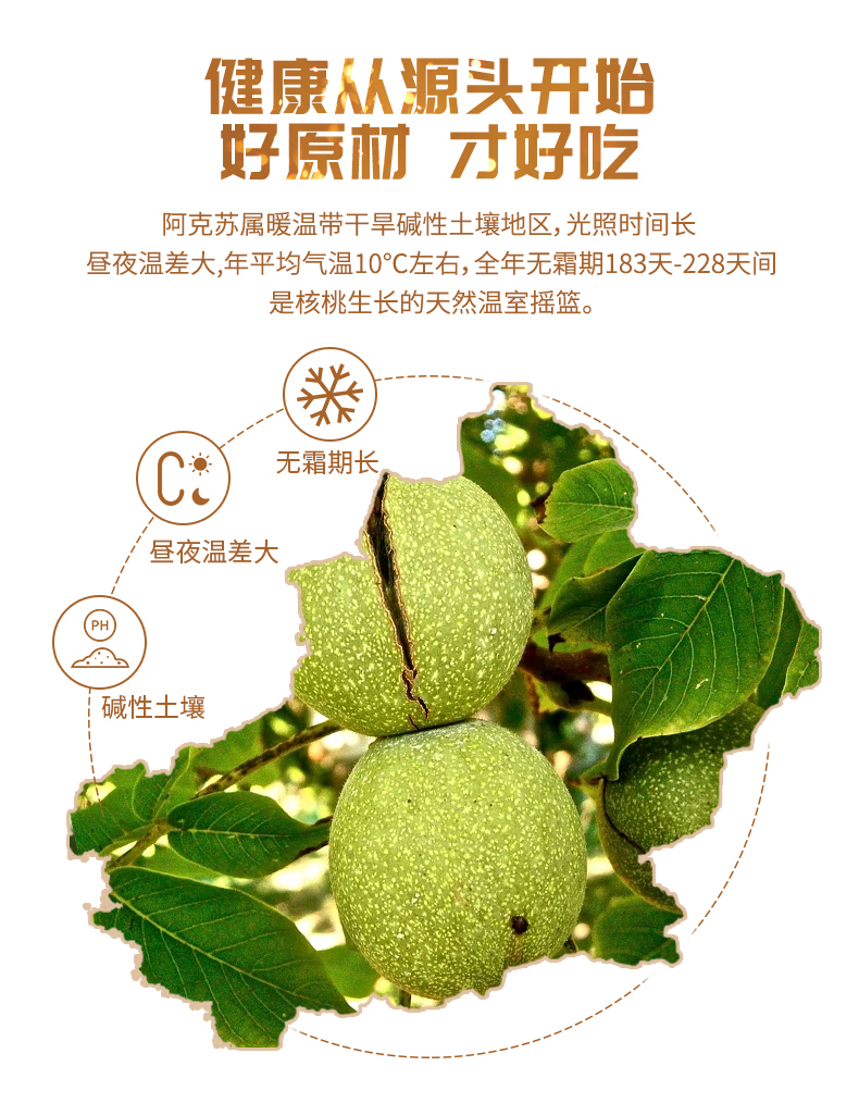 阿克苏185新疆纸皮核桃2024新货孕妇礼盒装薄皮原味烤大核桃脆皮