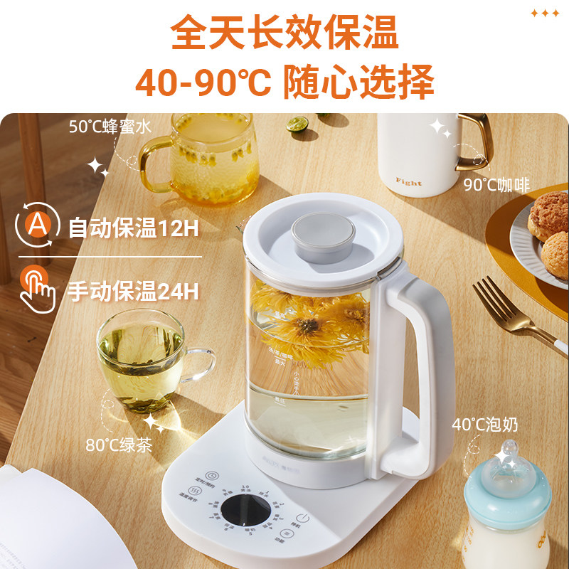  奥克斯劲辉冬华养生壶/煎药壶