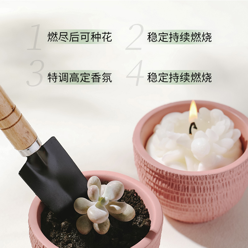 栖溪盆栽植物香薰蜡烛105g清新雪浸山茶茉莉栀子花香创意礼物送人