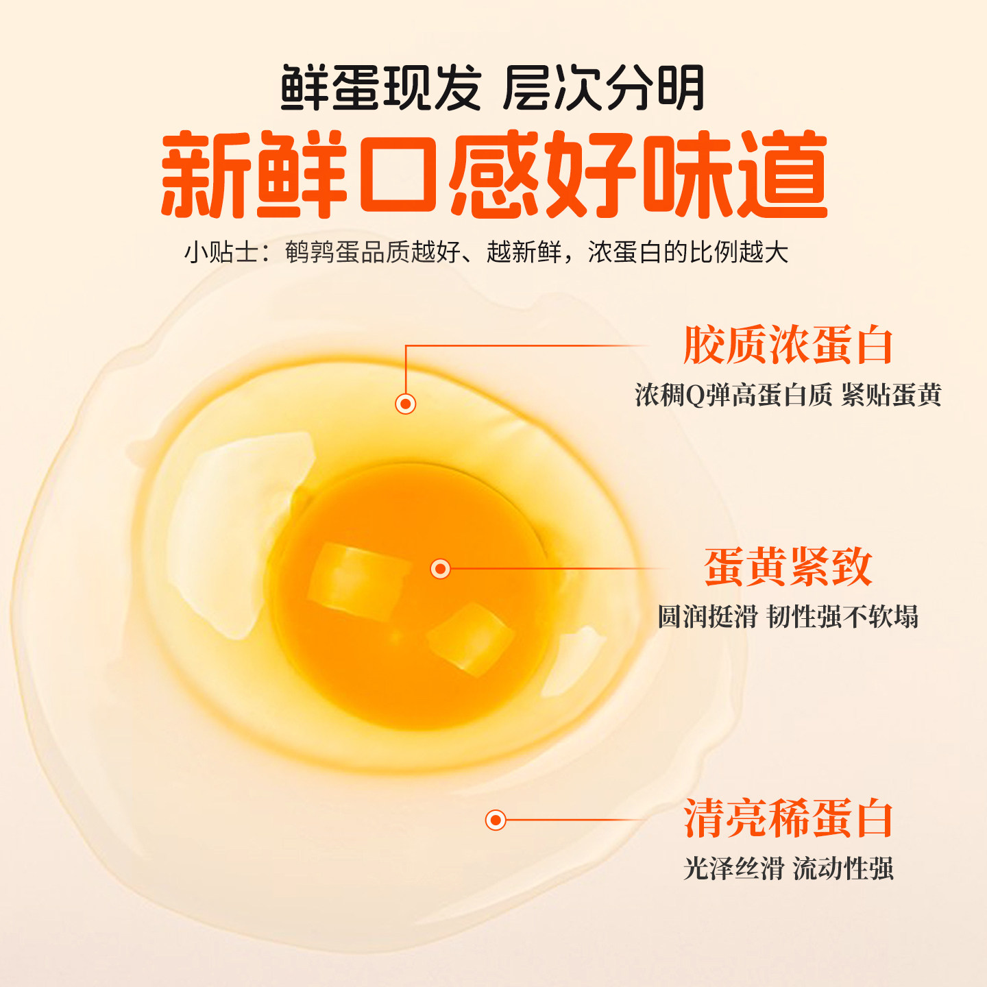 耕果妙新鲜鹌鹑蛋50枚杂粮喂养鹌鹑蛋生蛋鹑鸟蛋鸟蛋宝宝辅食整箱,淘宝优惠券,粉丝福利购,淘宝优惠卷