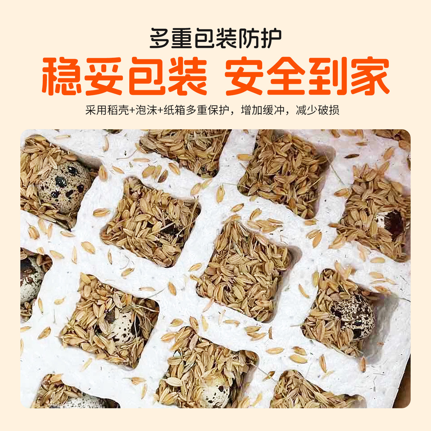 耕果妙新鲜鹌鹑蛋50枚杂粮喂养鹌鹑蛋生蛋鹑鸟蛋鸟蛋宝宝辅食整箱,淘宝优惠券,粉丝福利购,淘宝优惠卷