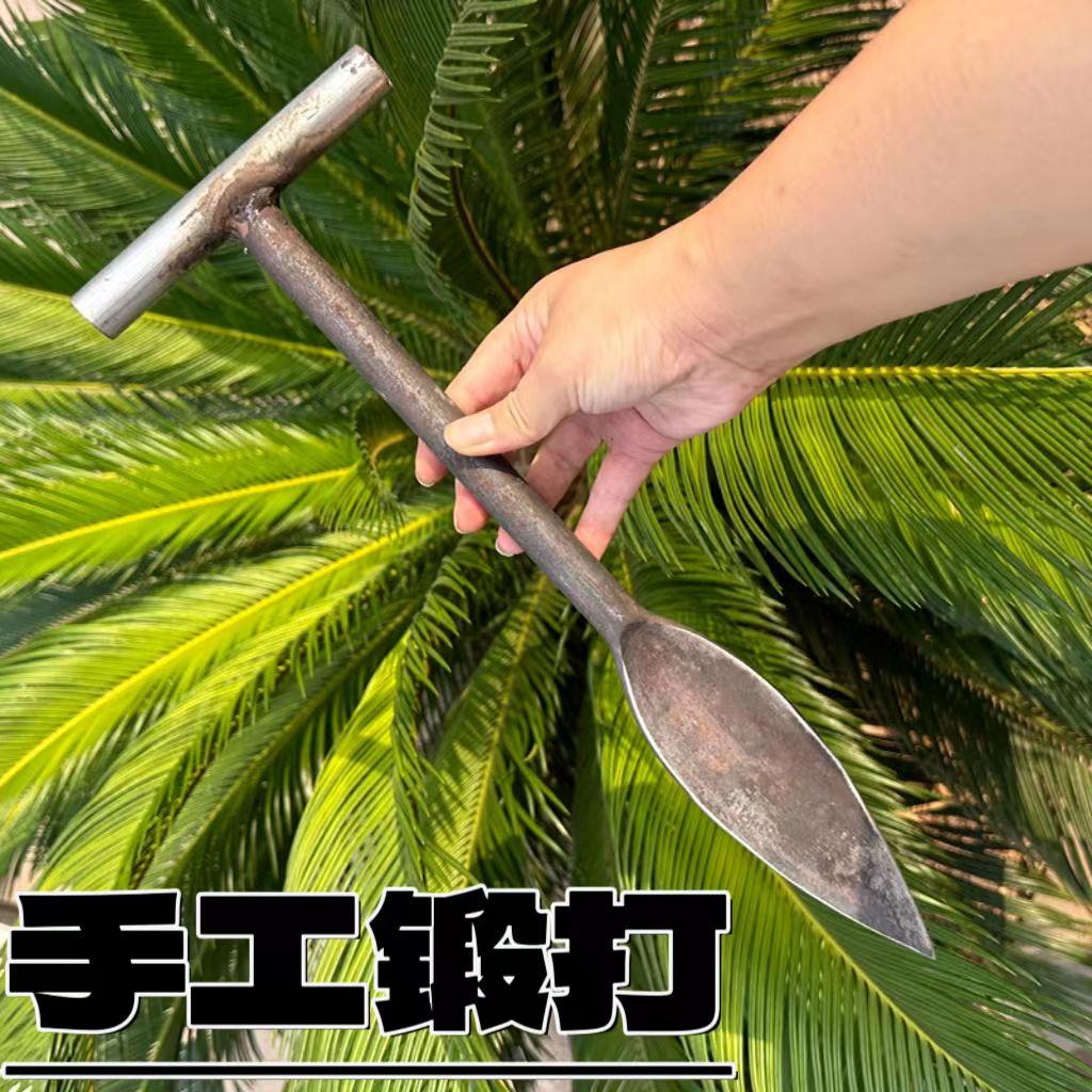 弹簧钢挖笋钢锹带柄树锹淬火T型挖笋专用采药挖竹笋铲挖豆苗钢锹 - 图2