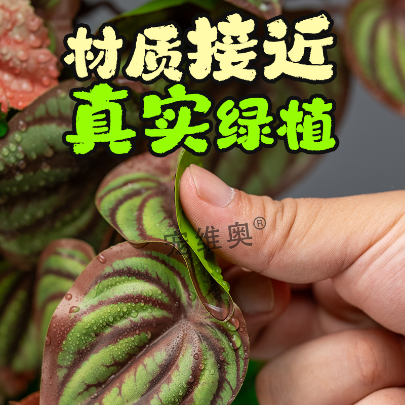 爬宠仿真热带雨林植物睫角陆龟守宫角蛙饲养盒爬宠缸树叶造景装饰 - 图3