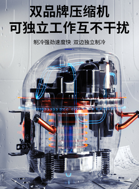 商用冰淇淋机东贝58年品牌