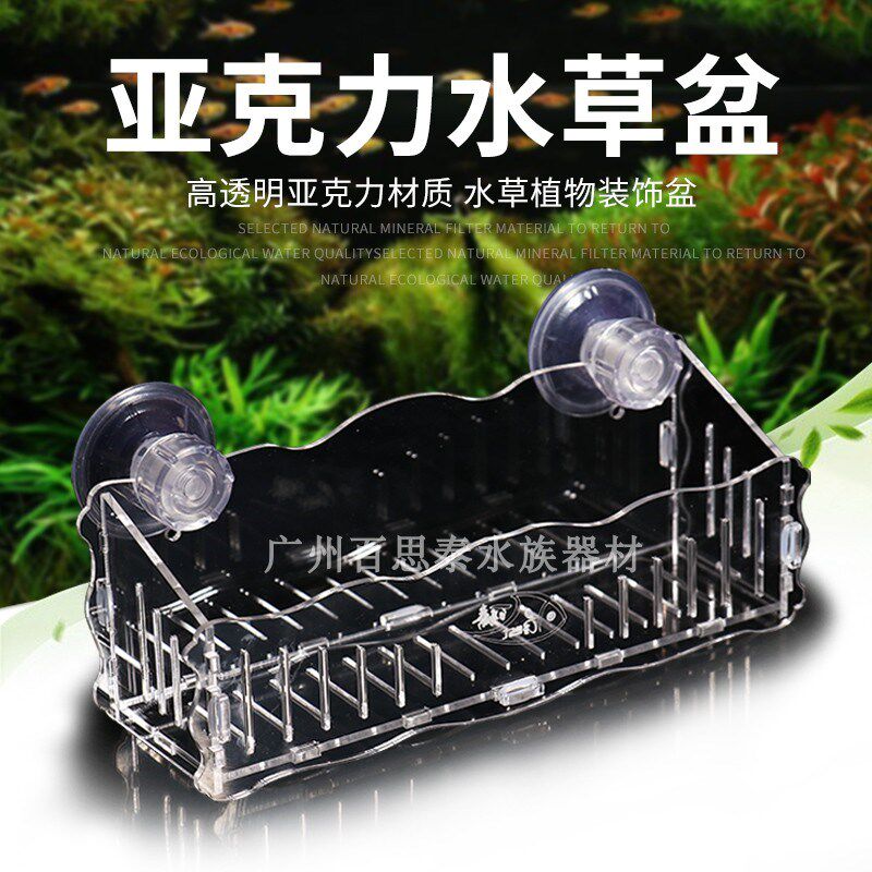 水草的种子 新人首单立减十元 21年10月 淘宝海外