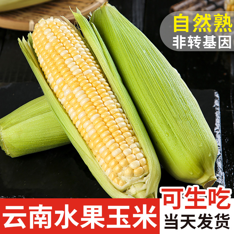 云南金银水果玉米10斤新鲜生吃甜玉米棒子现摘即食农产品整箱包邮