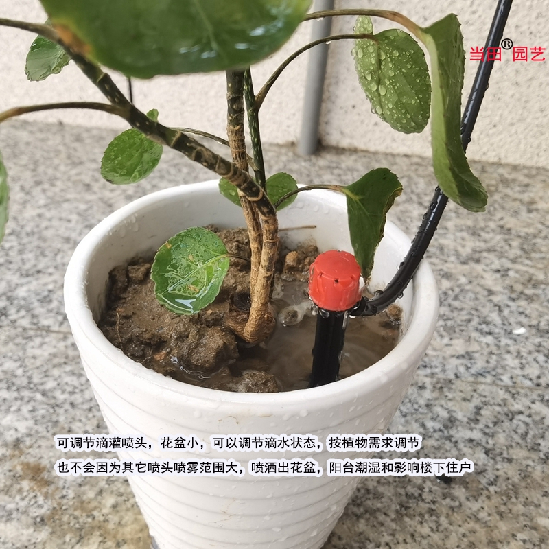 家用花盆8/11管微喷滴灌滴水地插可调节喷头9/12管自动浇花器喷头-图1