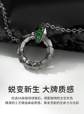 SinceYou蛇来运转情侣项链