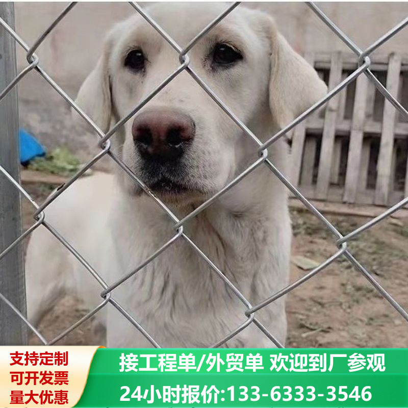 镀锌钢丝网加粗勾花网加粗网格牛羊养殖网果园圈地围栏鱼塘防护网,淘宝优惠券,粉丝福利购,淘宝优惠卷