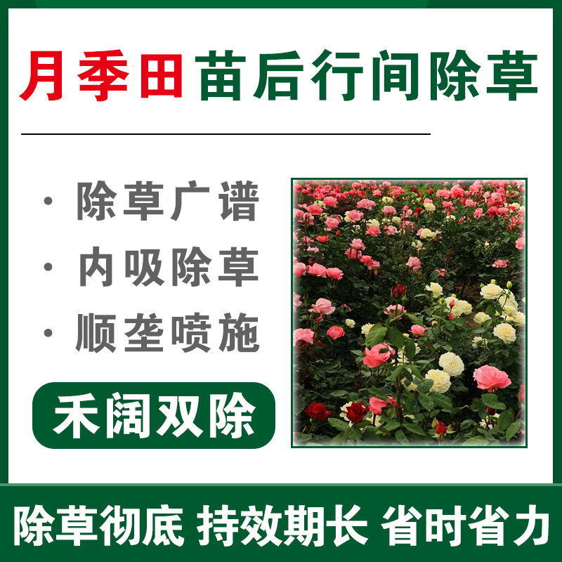 【月季除草专用】玫瑰蔷薇科作物苗后除草剂套装旗舰店正品