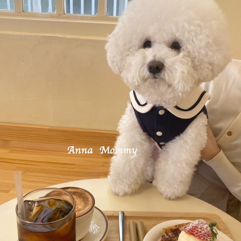 海军领背心秋季薄款小型幼犬秋冬小狗狗衣服猫咪宠物泰迪比熊博美 - 图1