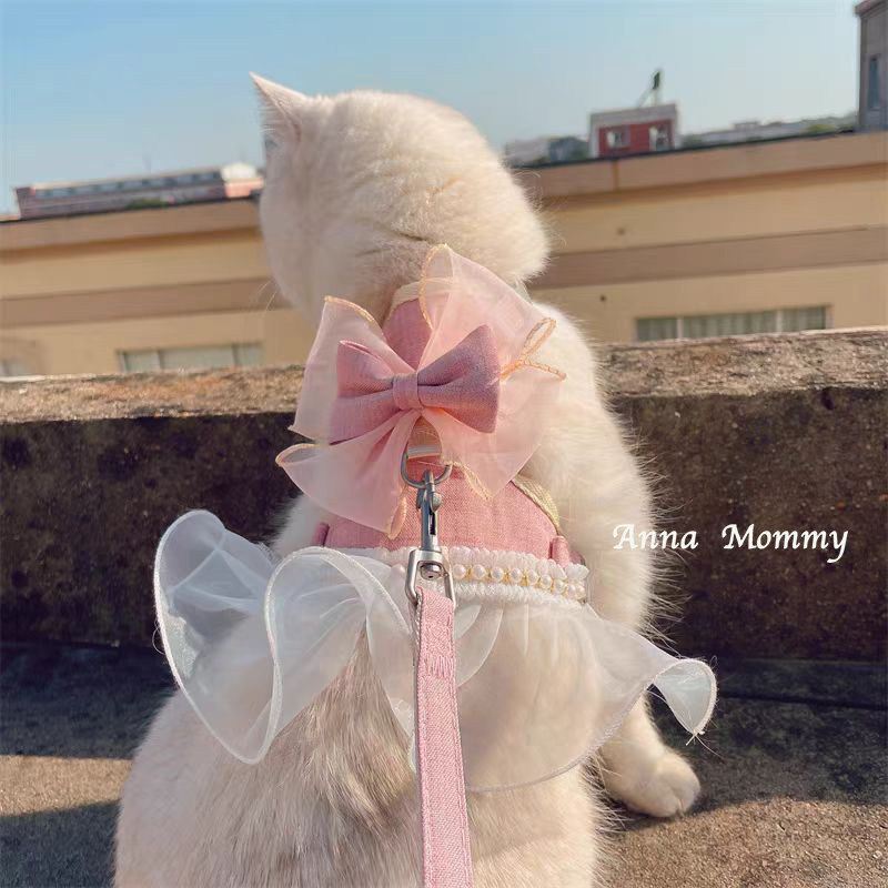 猫咪牵引绳仙女背心式胸背带外出猫咪专用防挣脱溜猫绳子栓猫链子,淘宝优惠券,粉丝福利购,淘宝优惠卷