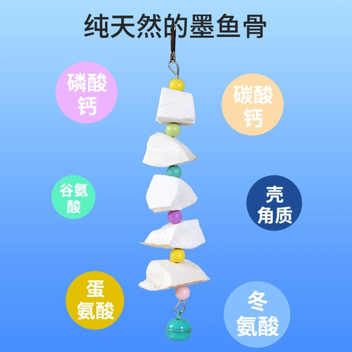 Сюанфенг тигр пион -попугай