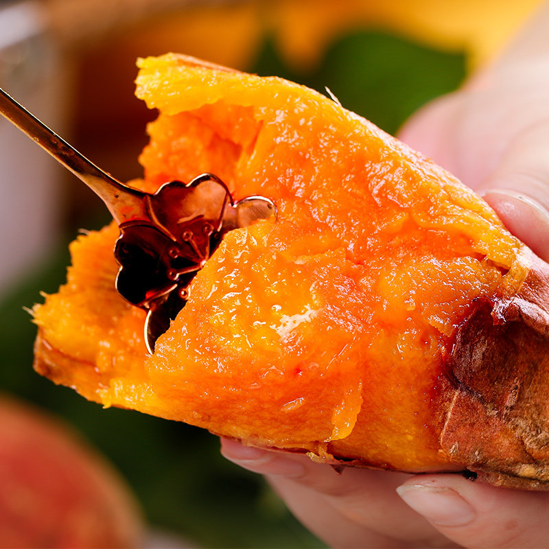 山东蜜薯烟薯25号地瓜沙地烤山芋 果麦颂番薯