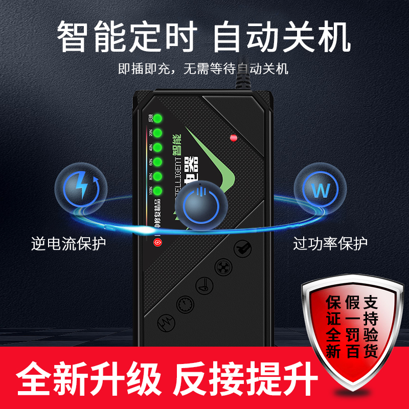 自动关机电动车电瓶充电器48v12ah48v20ah60v20ah72v超威电池天能 - 图1