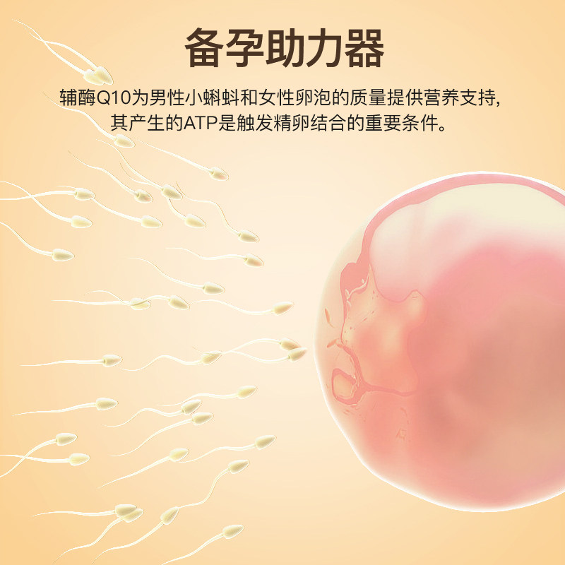 noromega挪威原装进口卵磷脂软胶囊 Noromega海外辅酶Q10