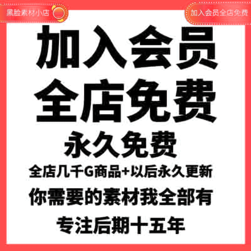 剪映模版抖音短视频电脑版相册生日歌词素材剪影草稿代发剪同款 - 图3