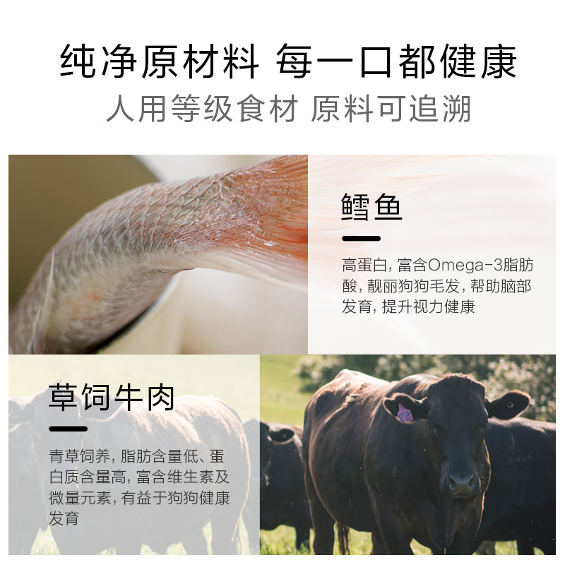 K9Natural狗罐新西兰官方进口主食零食幼成犬主食罐多口味370g*6