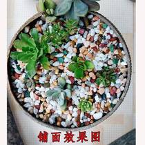 Natural fiftcolored floral stone white stone multimeat pasta fish with fish-made flower decorated patio flower decorated patio paving decoration