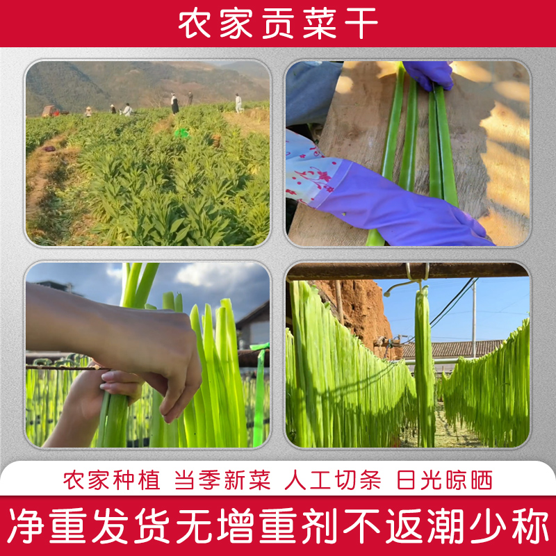 2024新贡菜干特级农家贡菜干新鲜苔菜响菜土特产干货脱水蔬菜500g-图1