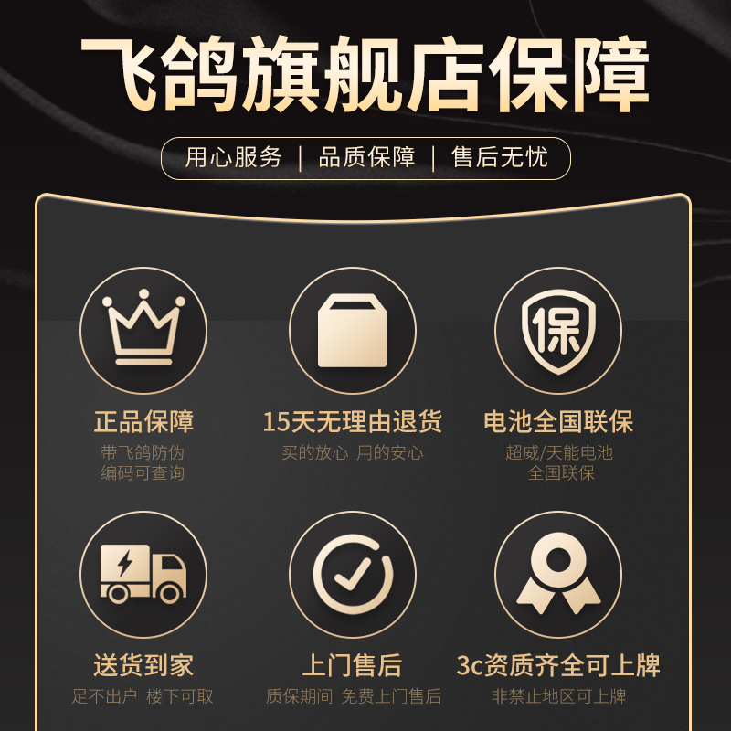  飞鸽电动车电动三轮车