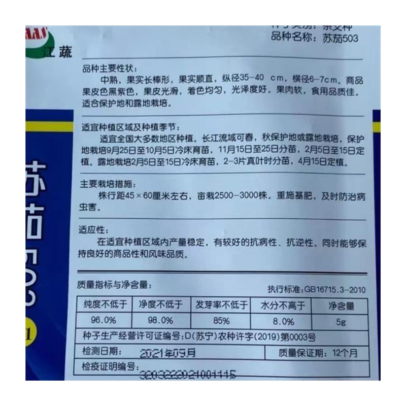 苏茄503茄子种子中熟紫黑色皮高端品种高产抗病果实顺直肉软种子