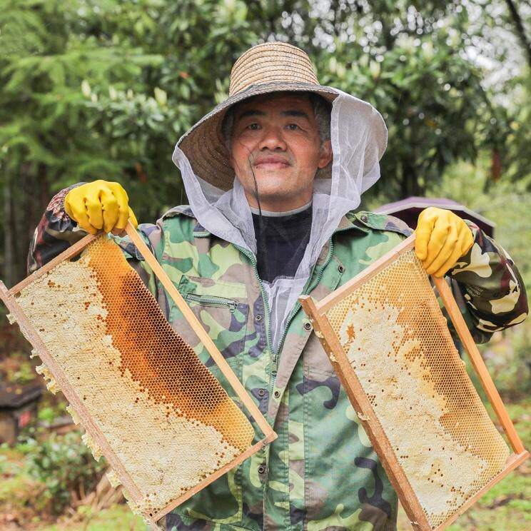 蜜沙萝条装便携袋装纯正野生蜂蜜 蜜沙萝蜂蜜