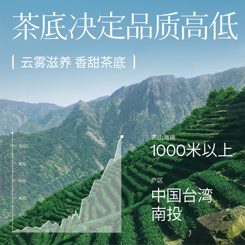 长信名茶菊花乌龙茶特级100克礼盒装清香型茉莉香台湾高山冷泡茶 - 图3