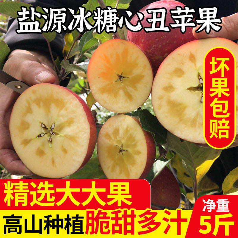 四川凉山盐源冰糖心丑苹果新鲜水果当季整箱昭通野生红富士田甜圈