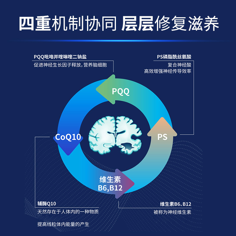 ESTHELIV研生之力Pro深蓝PQQ辅酶Q10营养美国进口胶囊磷脂丝氨酸-图1