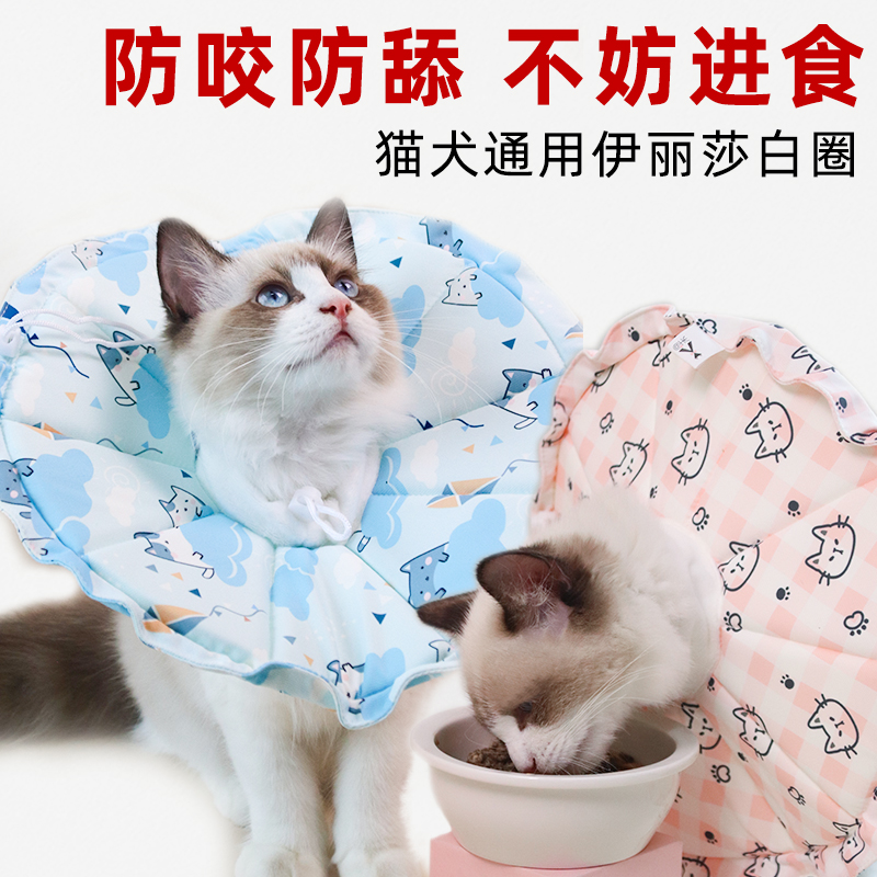 伊丽莎白圈狗狗猫咪绝育防舔幼犬头套防咬猫狗脖圈防水宠物软项圈-图1