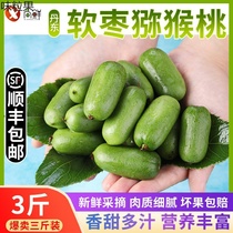 Tandong Fresh Fruit Soft Date Chic Exotic Fruit Round Date Dog Date Chic Exotic Fruit Berry Pregnant Woman Gift Box Loaded With 3 catties