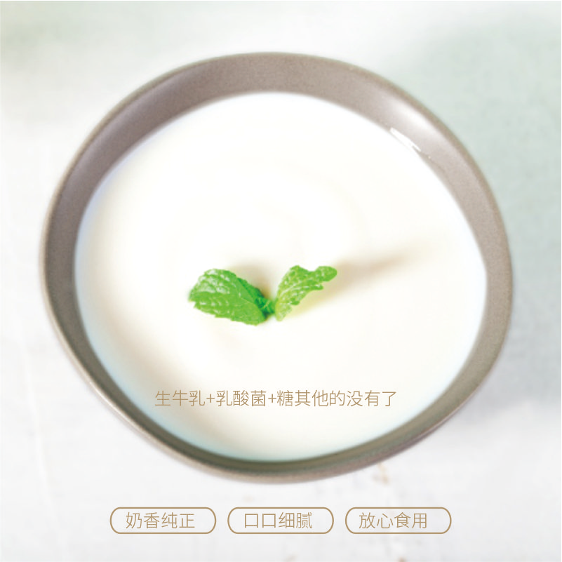 天缘妙可原味老酸奶1kg*2桶纯正生牛乳发酵冷链空运