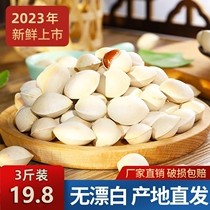 5 catty fresh large grain with shell raw white fruits Peacian specialite farm special grade gingko fruits without bleached quality dry goods