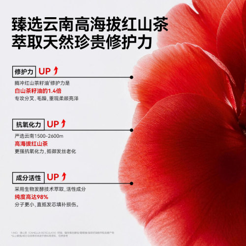 【孟子义同款】红之护发精油头发修护护理防毛躁卷发烫发精华油 - 图2