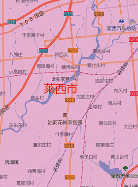 新版济南平阴商河青岛胶州地图