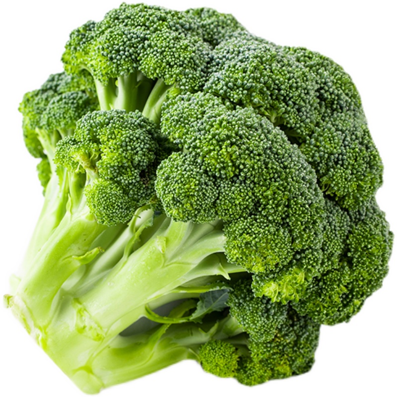 白花椰菜种子宝塔菜绿紫甘蓝松花菜西兰蓝花盆栽大田蔬菜种孑籽苗 南山田园 淘优券 白花椰菜种子宝塔菜绿紫甘蓝松花菜西兰蓝花盆栽大田蔬菜种孑籽苗 南山田园 淘优券