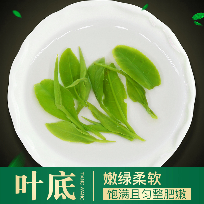 高山云雾绿茶新茶浓香型茶叶散装正宗日照充足茶店有毛尖碧螺春茶 - 图2