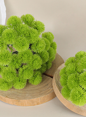插花石竹毛球家居摆件软装家居
