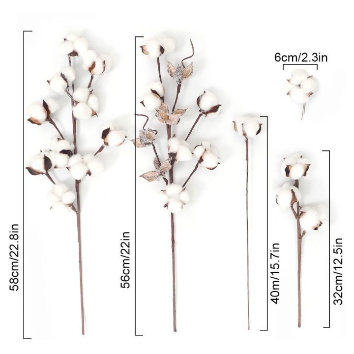棉花干花永生花圣诞装饰花束新疆棉花插花拍照道具diy天然木棉花 - 图1