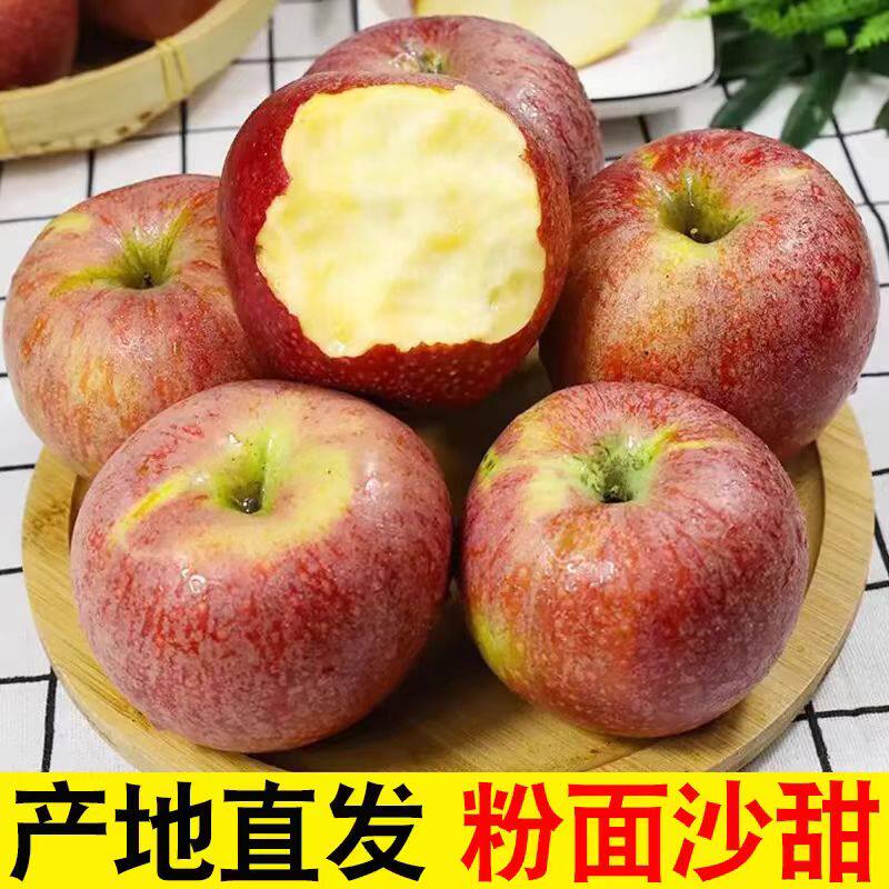 【越放越粉面甜】陕西秦冠苹果水果新鲜当季可脆可粉老人宝宝辅食