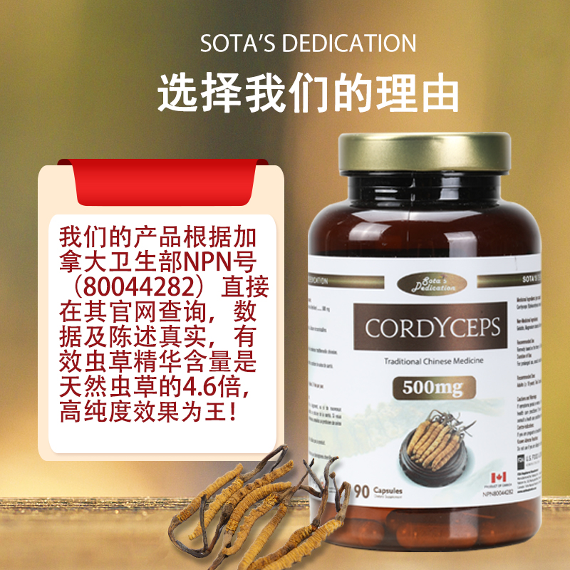 冬虫夏草胶囊90粒/瓶虫草菌丝体SOTA'S DEDICATION加拿大原装进口 - 图0