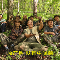 Close East Sea Gothic Changbai Mountain forest Under-dried ginseng Whole Branches Stew Broth