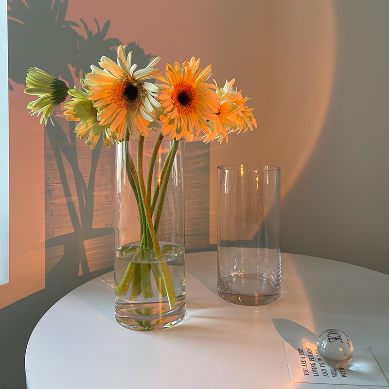 花瓶摆件客厅插花透明玻璃瓶水养马醉木富贵竹专用宽口水培器皿大 - 图0