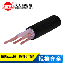 Shenzhen Chengtiantai source manufacturer YJV 5X6 squared copper core cable