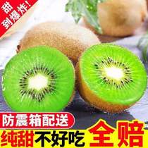 Now Picking Shaanxi Eyebrow County Green Heart Macaque Chic Exotic Fruit When Season Fresh Pregnant Woman Fruit Mass Walnut Clay Monkey Peach