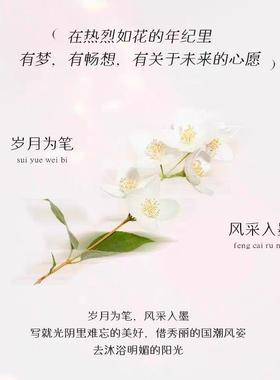 山茶花纯银手链女生轻奢小众