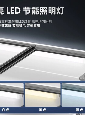 台式摆摊三轮车专用冰柜展示柜