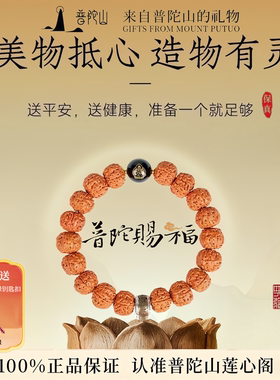 普陀山金刚菩提盘玩手串男女款原籽文玩核桃佛珠手链手持念珠配饰